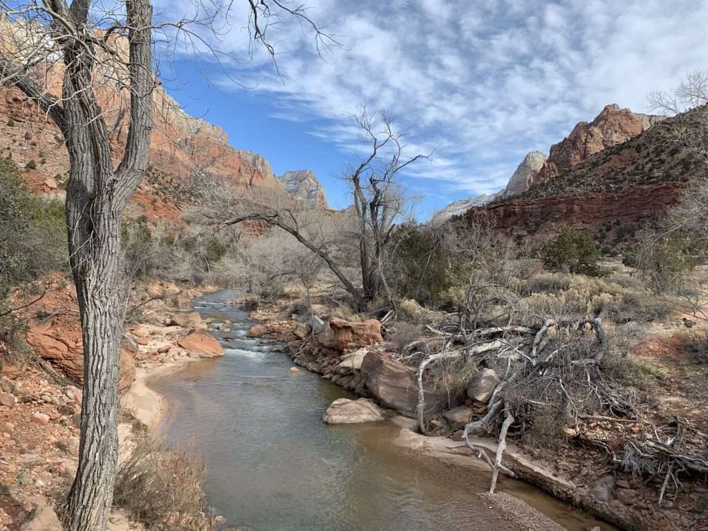 river flowing through mountains and dead trees