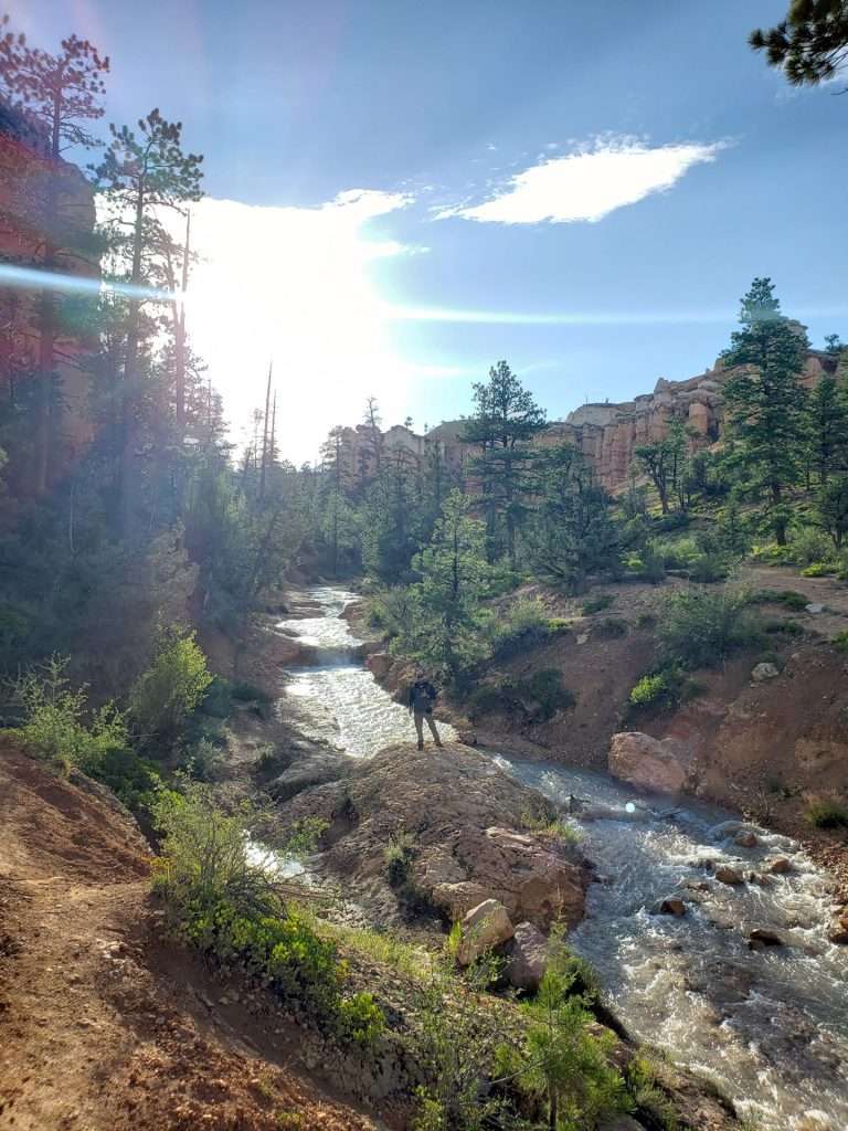 man standing on large rock in river