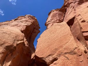 National Park Express 20240426 215432000 iOS lg