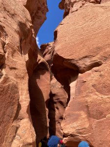 National Park Express 20240426 215439000 iOS lg