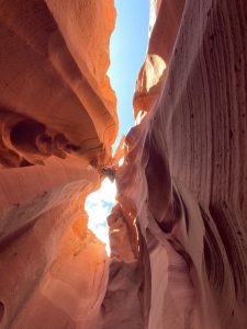 National Park Express 20240426 215452000 iOS lg