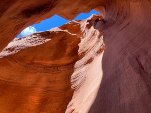 National Park Express 20240426 215516000 iOS lg