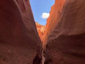 National Park Express 3686a21c77d84691ac6c173a38c212a320240426 215445000 iOS lg