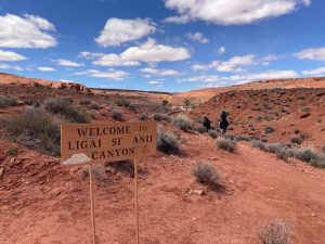 National Park Express 7871077bf5244110949d23678dc6294020240426 215424000 iOS lg