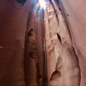 National Park Express Ligai Si Anii2 lg 1