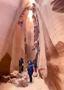 National Park Express ac75ad7aa183424382acc683ac300b1620240426 215459000 iOS lg